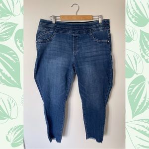Women’s Plus Size Democracy Jeans
